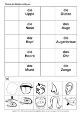 AB-DAZ-Körperteile-zuordnen-1.pdf